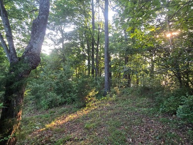 Build Your Dream Home by the Water! This prime lot offers the - photo 10