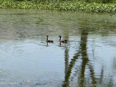 The 10.39 property has 2 houses and a private pond on it - photo 24
