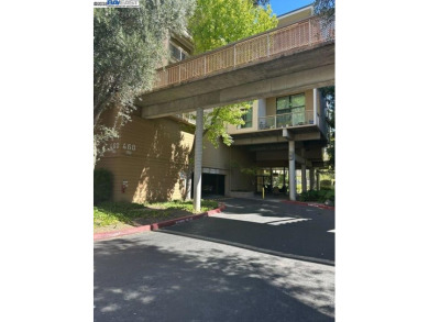 Lake Condo For Sale in Walnut Creek, California