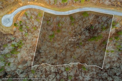 Twin Mountain Lakes Acreage For Sale in Talking Rock Georgia