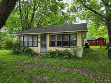 Lake Home For Sale in Carlton, New York