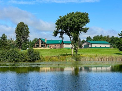 (private lake, pond, creek) Home For Sale in Ogema Wisconsin