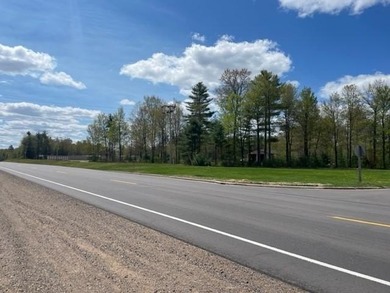 Multi Use lot with huge potential. Semi developed lot and - photo 7