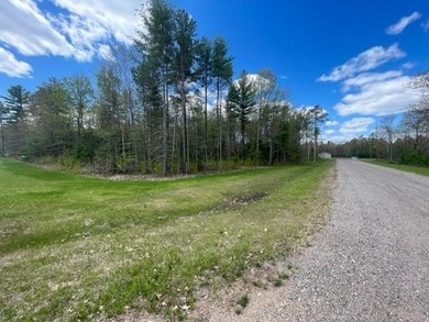 Multi Use lot with huge potential. Semi developed lot and - photo 9