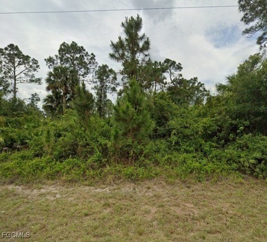 Lehigh Acres Area Lot For Sale in Lehigh Acres Florida