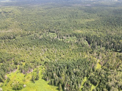 Looking for land with a little bit of everything? This rare - photo 11