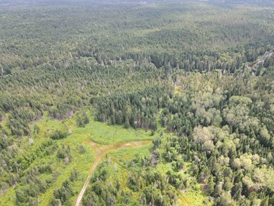 Looking for land with a little bit of everything? This rare - photo 13