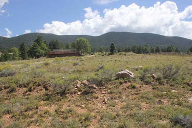 Quiet, panoramic views surround this home in every direction - - photo 4
