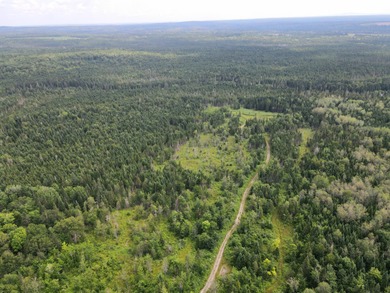 Looking for land with a little bit of everything? This rare - photo 15