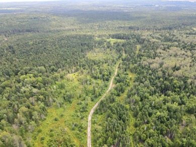 Looking for land with a little bit of everything? This rare - photo 16