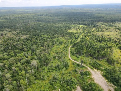 Looking for land with a little bit of everything? This rare - photo 17