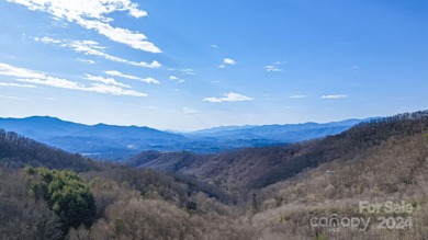 (private lake, pond, creek) Acreage For Sale in Whittier North Carolina