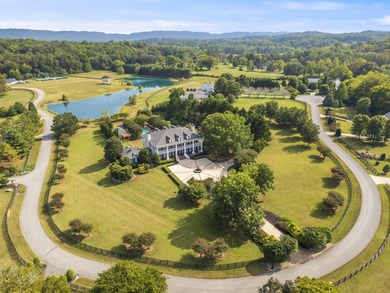 The Grandeur of the Southern Plantation. Nestled upon 4.5 level - photo 43