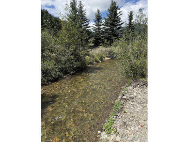 (private lake, pond, creek) Lot For Sale in Red River New Mexico