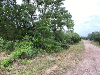 Somerville Lake Lot For Sale in Somerville Texas