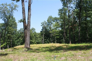Lake Lot For Sale in Midway, Arkansas