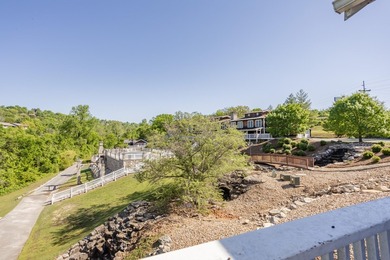 Experience the ultimate Table Rock Lake lifestyle with this - photo 50