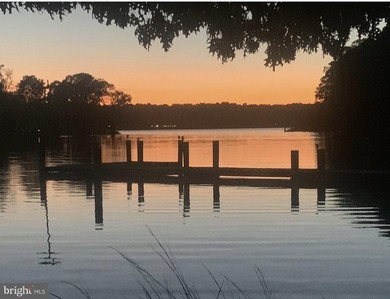 Discover a serene retreat in the heart of Waverly Island Estates - photo 8