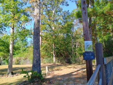 Campsite in Private Lake Community
Golf Cart Friendly - photo 5