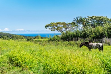 Commanding panoramic views of the Pacific Ocean and the slopes - photo 12
