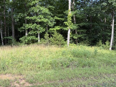 Spacious 3.80 acre m/l lot located in Cumberland Shores - photo 1