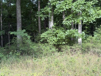 Spacious 3.80 acre m/l lot located in Cumberland Shores - photo 2