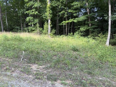 Spacious 3.80 acre m/l lot located in Cumberland Shores - photo 3