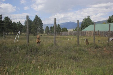 A pet boarding business with a home on 6.7 acres close to Angel - photo 3