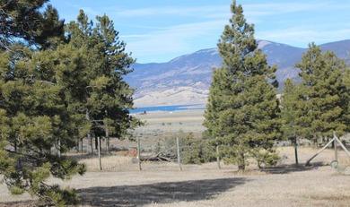 A pet boarding business with a home on 6.7 acres close to Angel - photo 10