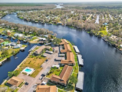 Lake Condo For Sale in Astor, Florida