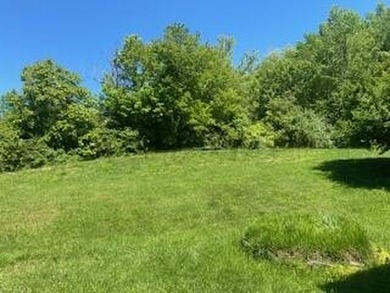 Great location! Spacious 1 1/2 story home with basement, 4 - photo 3