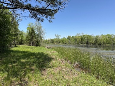 (private lake, pond, creek) Acreage For Sale in Fouke Arkansas