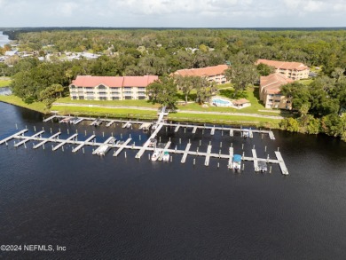 Little Lake George Condo For Sale in Welaka Florida
