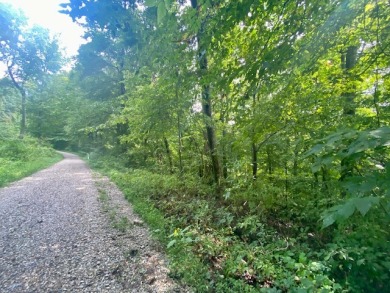 No restrictions. Blank slate, grab before it's too late! - Lake Lot For Sale in Hudson, Kentucky