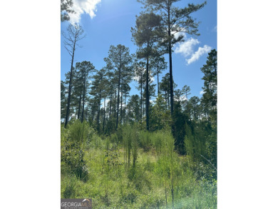 Lake Acreage For Sale in Madison, Georgia