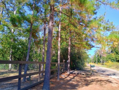 Campsite in Private Lake Community
Golf Cart Friendly - photo 8