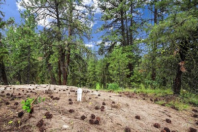 Looking for an exceptional mountain setting to create lasting - photo 12