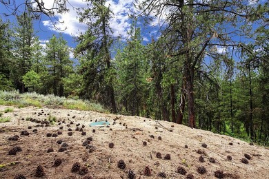 Looking for an exceptional mountain setting to create lasting - photo 13