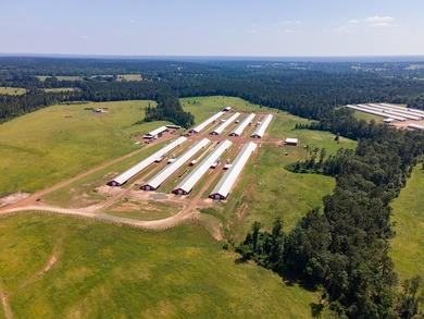 Modern 8-House Broiler Farm in the Douglass, TX area - Built in - photo 3