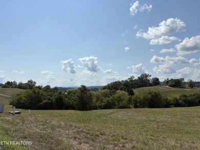 Lake Lot For Sale in Sharps Chapel, Tennessee