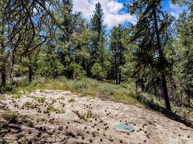 Looking for an exceptional mountain setting to create lasting - photo 30