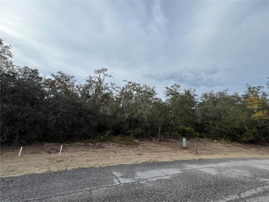 Lake Marion - Polk County Lot For Sale in Kissimmee Florida