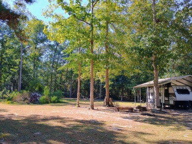 Campsite in Private Lake Community
Golf Cart Friendly - photo 4