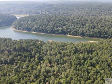 Lake Greeson Acreage For Sale in Murfreesboro Arkansas