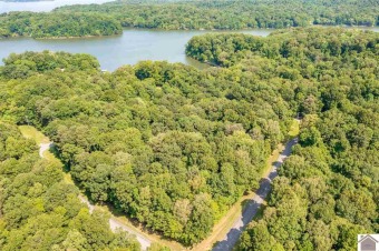Looking for a fantastic wooded lakefront lot, this lakefront lot - Lake Acreage For Sale in Eddyville, Kentucky