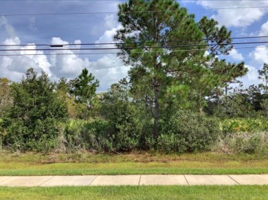Lake Lot For Sale in Orlando, Florida