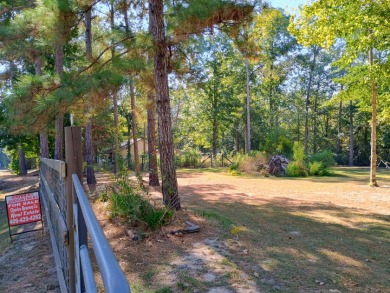 Campsite in Private Lake Community
Golf Cart Friendly - photo 6