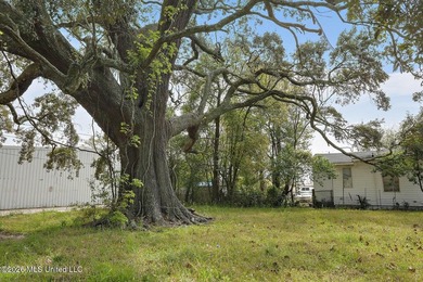 Corner lot located near Downtown Gulfport. Perfect location for - photo 11