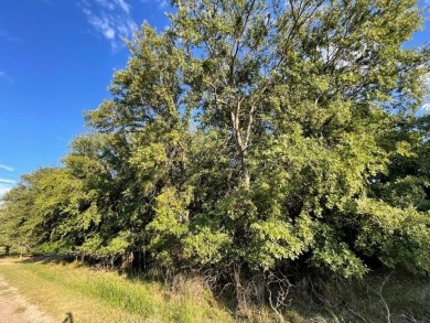 Lake Lot For Sale in May, Texas