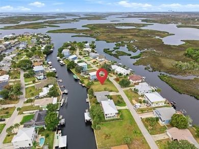 (private lake, pond, creek) Lot Sale Pending in Crystal River Florida